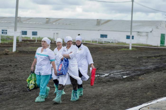 Власти захотели лишить миллионы россиянок короткого рабочего дня