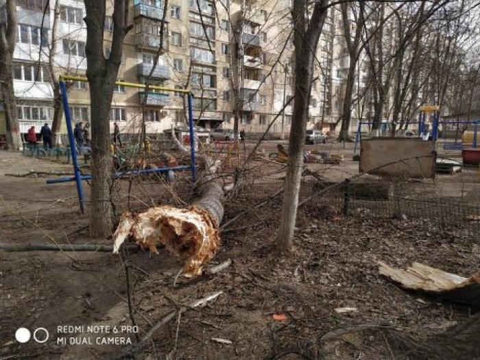 В Одессе дерево рухнуло на детскую площадку: мужчина спас двоих детей ценой переломов