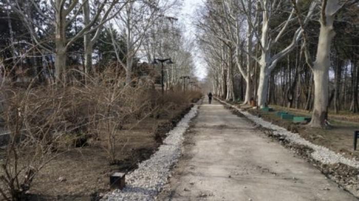 В столичном парке "Долина Роз" устанавливают новые бордюры вдоль аллеи