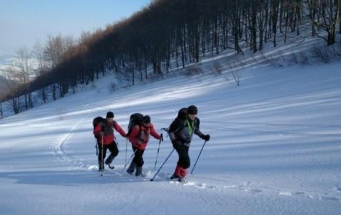 В Украине с начала года в горах спасли более 290 туристов