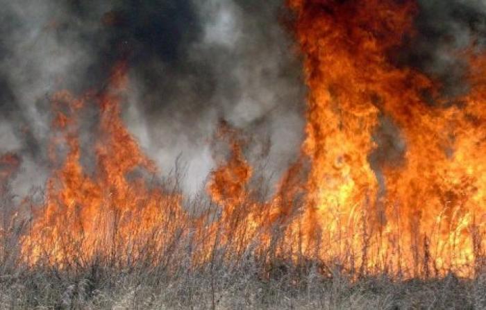 За последние сутки в Молдове зарегистрировано шесть пожаров