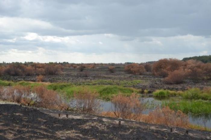 Беларусь открыла для туристов Чернобыльскую зону отчуждения