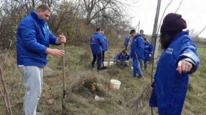 Демократическая партия Молдовы запускает кампанию по озеленению окружающей среды