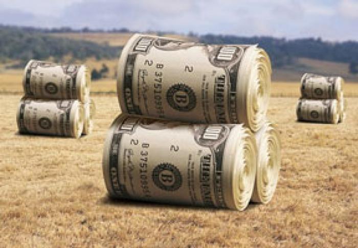 GUVERNUL A MAJORAT SUBVENȚIILE PENTRU AGRICULTORI DE LA 3 PÂNĂ LA 5 MILIOANE DE LEI