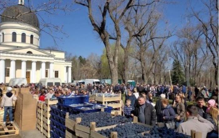 На ярмарке в Кишиневе продали более 200 тонн молдавского винограда