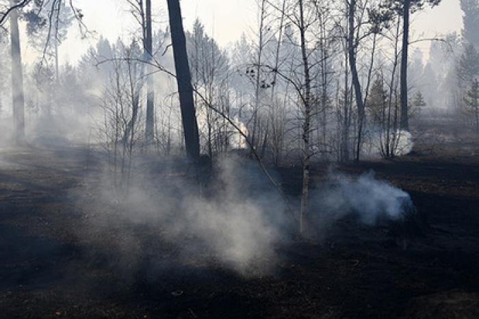 Подсчитано число получивших ожоги в результате пожаров в Забайкалье