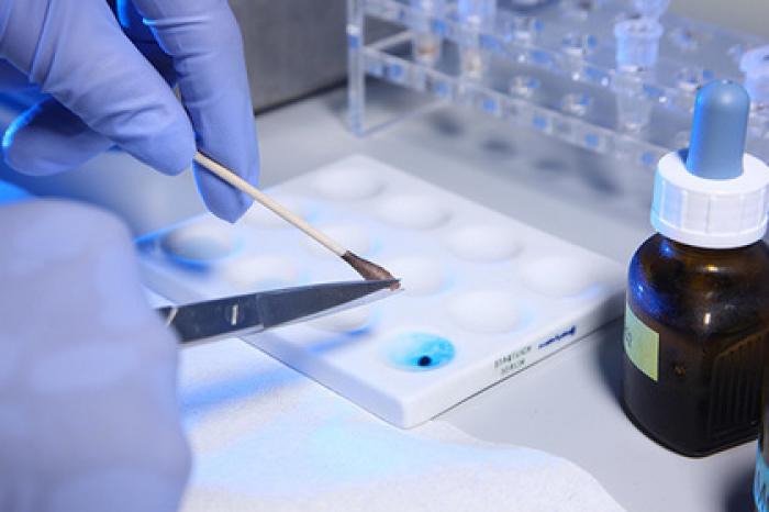 Скрывающих отцовство близнецов обязали вдвоем платить алименты