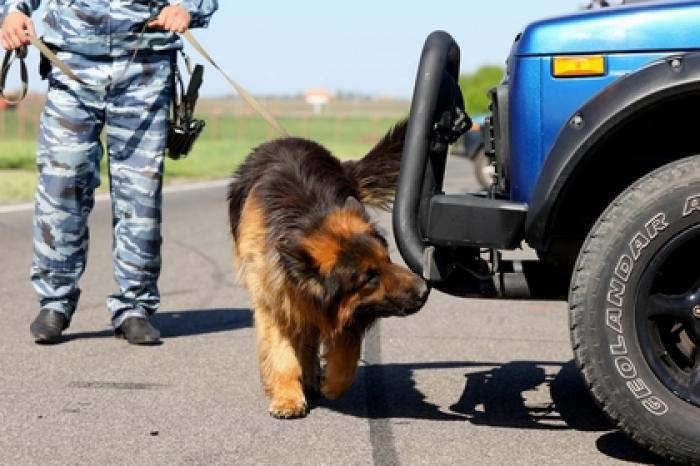 У отделения полиции в Балашихе нашли самодельную бомбу