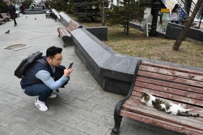 Во Владивосток прибыли спецслужбы Северной Кореи