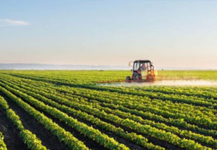 BANCA MONDIALĂ A REITERAT INTERESUL ÎN SUSŢINEREA AGRICULTURII MOLDOVEI