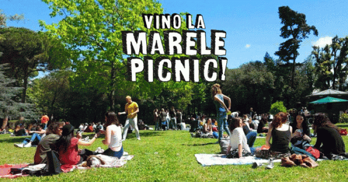 FAMILIARIZEAZĂ-TE CU HARTA ȘI PROGRAMUL MARELUI PICNIC CU TRUPA TAXI DE LA MILEȘTII MICI
