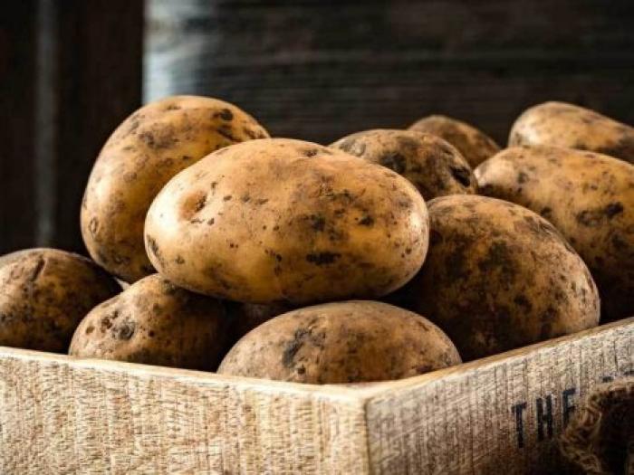 Когда в Молдове подешевеет картофель: прогноз экспертов