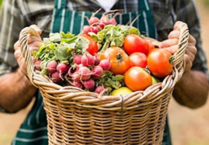 ПРОИЗВОДСТВО СЕЛЬХОЗПРОДУКЦИИ В МОЛДОВЕ СНИЗИЛОСЬ ПЕРВОМ КВАРТАЛЕ НА 2%