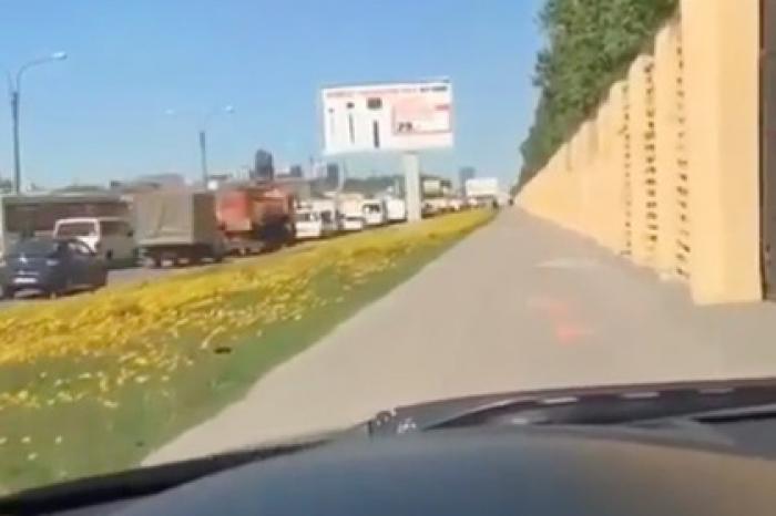 Россиянин под музыку объехал пробку по тротуару с людьми и снял это на видео