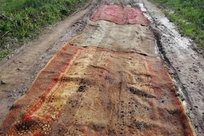 Российские чиновники озадачились поисками устланной коврами дороги