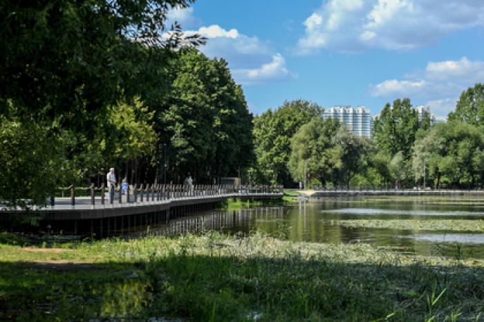 Самым дешевым в России оказалось благоустройство парков