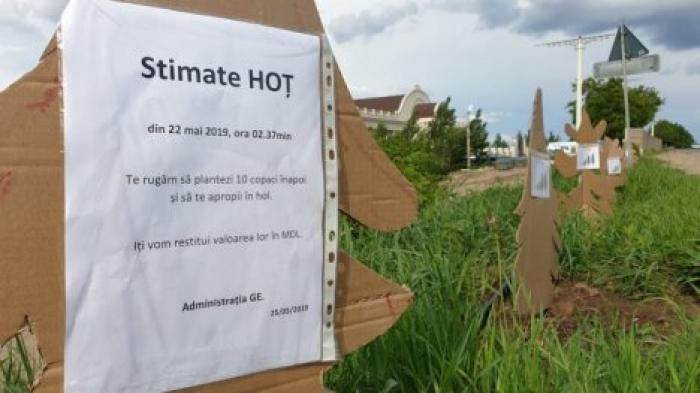 Столичный ресторан готов заплатить вору, укравшему с территории деревья