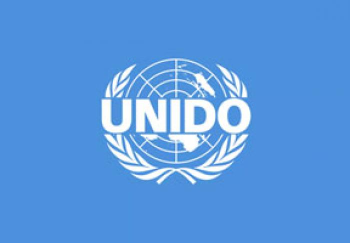 UNIDO VA OFERI MOLDOVEI 29 MIL. EURO PENTRU DEZVOLTAREA INCLUZIVĂ