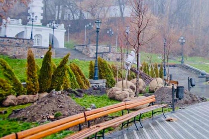 В Киеве потеряли сотню туй Кличко