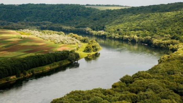 За последние сутки уровень воды в Днестре поднялся еще на 20 сантиметров