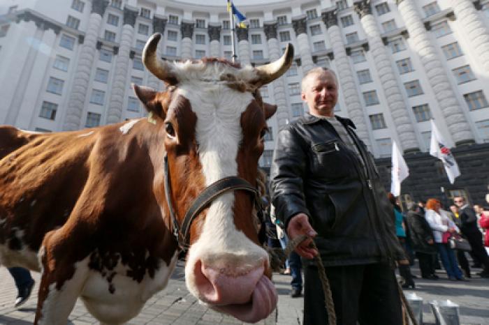 Администрация Зеленского предупредила о трех кризисах