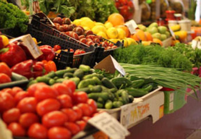 GUVERNUL RUSIEI A PRELUNGIT REGIMUL PREFERENŢIAL PENTRU EXPORTATORII MOLDOVENI DE PRODUSE AGRICOLE – IGOR DODON