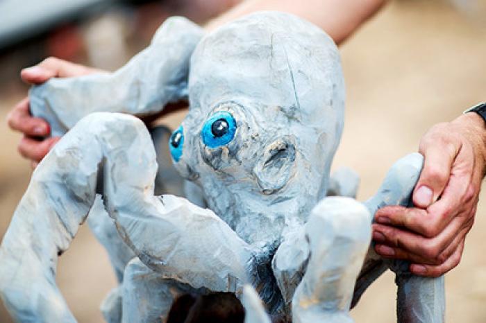 Наркоман перевернул машину ради осьминога и попал под суд