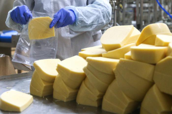 Новый комплекс производства сыра появится в Подмосковье