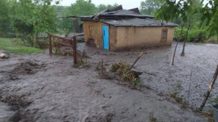 Проливные дожди нанесли урон десяткам хозяйств на севере страны