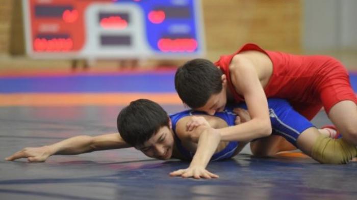Сборная Молдовы заняла второе место по вольной борьбе на юниорском ЧЕ