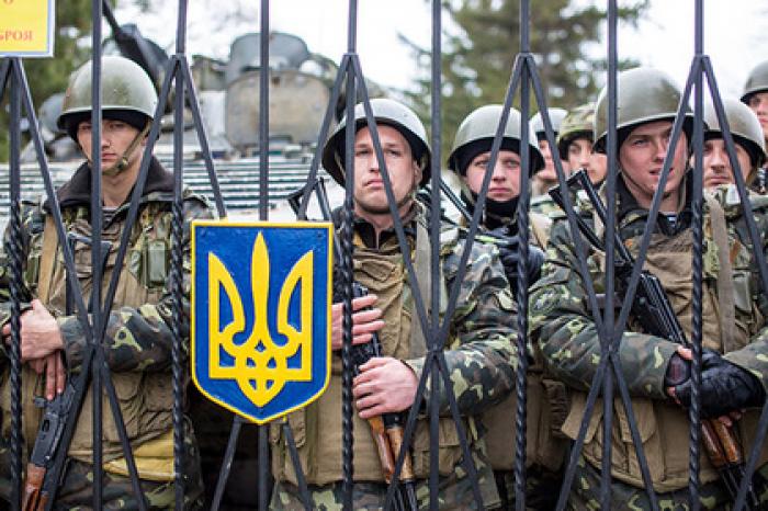 В Госдуме решили дать звания ветеранов России отслужившим в украинской армии