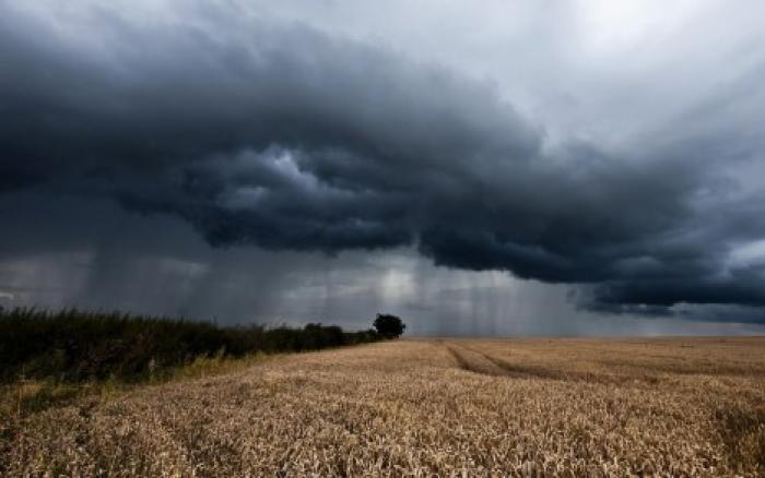 В Молдове объявлен желтый код: метеорологи обещают сильный ливень, грозы и шквалистый ветер