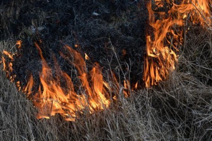 Во Франции спасатели тушат природные пожары, вызванные рекордной жарой