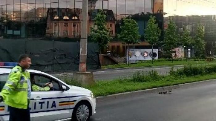В Румынии полицейские помогли утке с утятами перейти дорогу