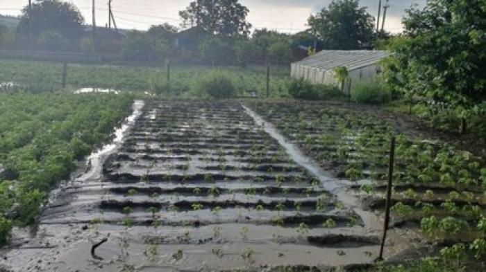 Затоплены хозяйства, повреждены крыши домов: Непогода нанесла серьезный ущерб жителям Глодянского района