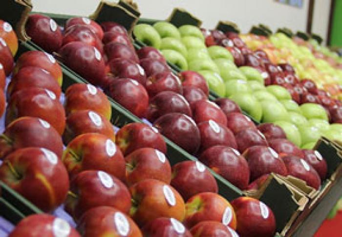 ANSA PREGĂTEŞTE O LISTĂ SUPLIMENTARĂ DE FURNIZORI DE FRUCTE MOLDOVENEŞTI PE PIEŢE DIN RUSIA