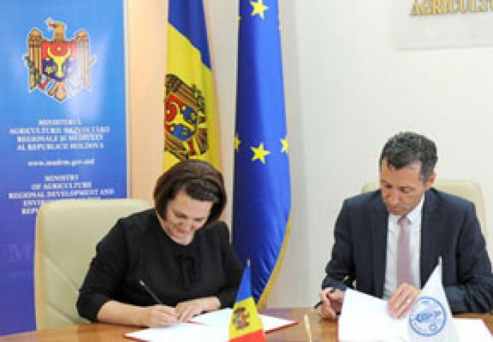 FAO VA AJUTA MOLDOVA ÎN PROMOVAREA PRODUCŢIEI AGRICOLE