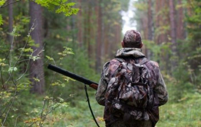 Под угрозой могут оказаться десятки видов пернатых и зверей, если правительство расширит список разрешенных к охоте животных