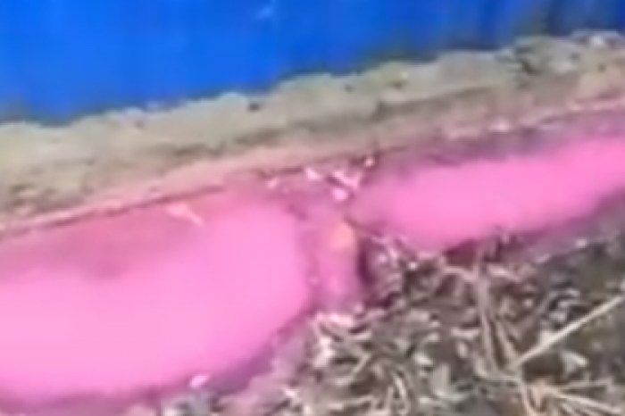Розовый ручей в российском селе попал на видео