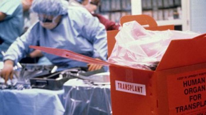 СМИ: в Китае более 1,35 млн человек завещали свое тело для донорских целей