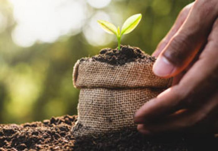 СПРОС СЕЛЬХОЗПРОИЗВОДИТЕЛЕЙ НА СУБСИДИИ ВЫРОС НА 12%