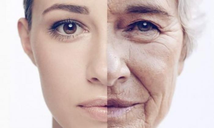 Ученые нашли способ остановить "старение"