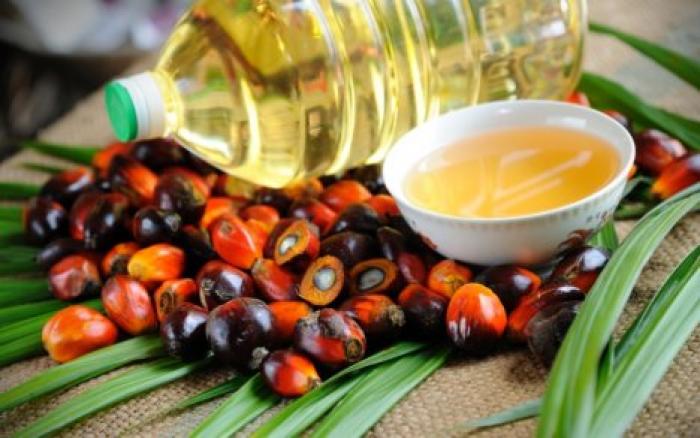 Ученые объяснили, в чем состоит вред пальмового масла