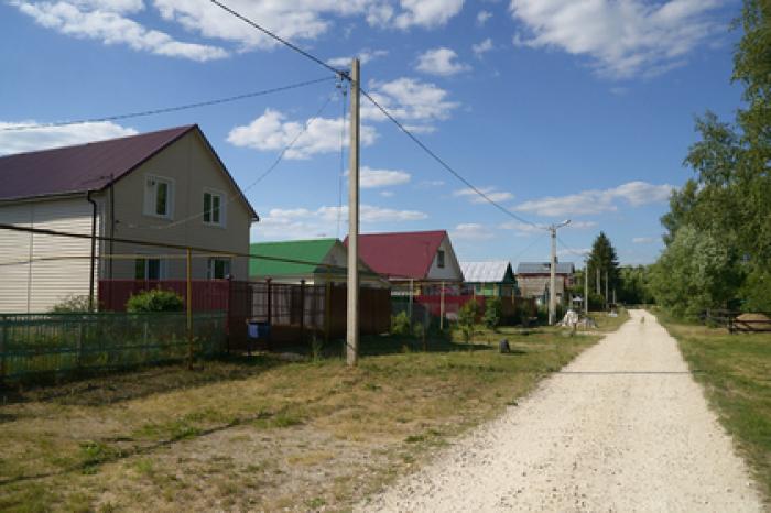 Жители Чемодановки разграбили дома скрывавшихся в лесу цыган