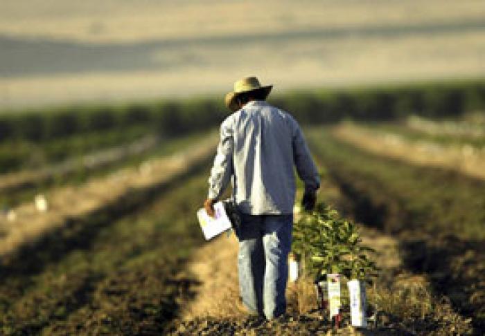 AIPA A ACHITAT PRODUCĂTORILOR AGRICOLI DIN MOLDOVA SUBVENŢII ÎN VALOARE DE PESTE 507 MIL. LEI