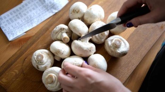 Диетологи дали рекомендации по употреблению грибов