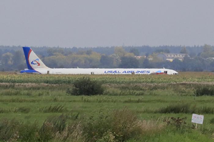 Экипаж севшего в кукурузном поле под Москвой Airbus наградят