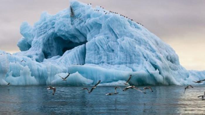 Как заработать на глобальном потеплении: канадские моряки стали "охотниками на айсберги"