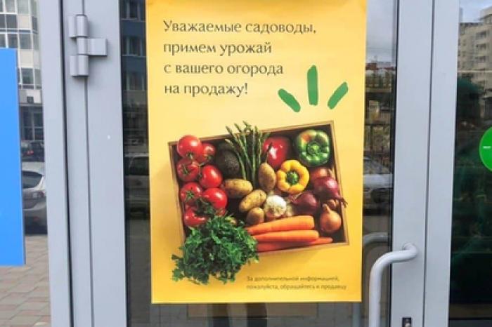 Кормивший малоимущих российский бизнесмен поможет пенсионерам продавать закрутки