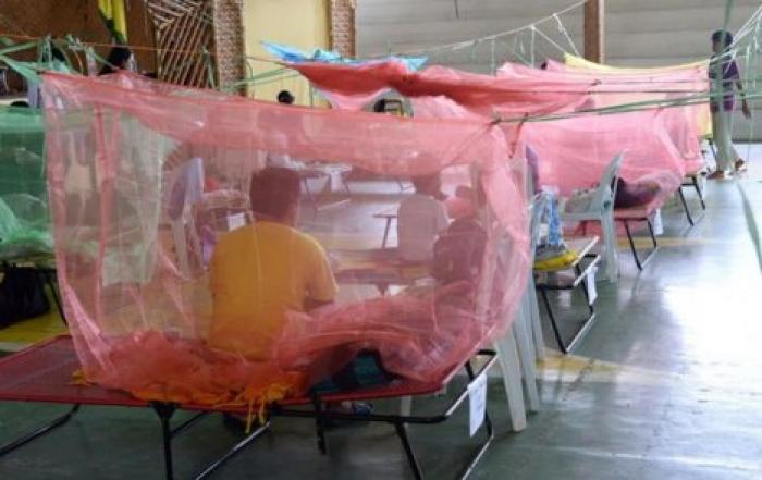 На Филиппинах число жертв лихорадки денге превысило 800 человек